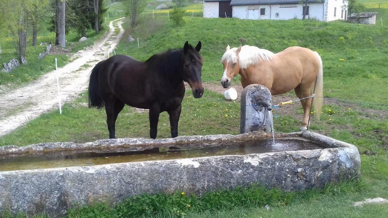 Gite Toukoul Autrans-Meaudre-en-Vercors Exteriör bild